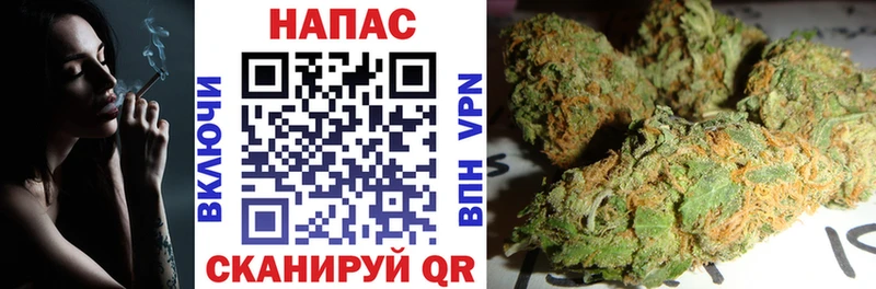 Бошки марихуана ГИДРОПОН  купить наркоту  Вяземский 